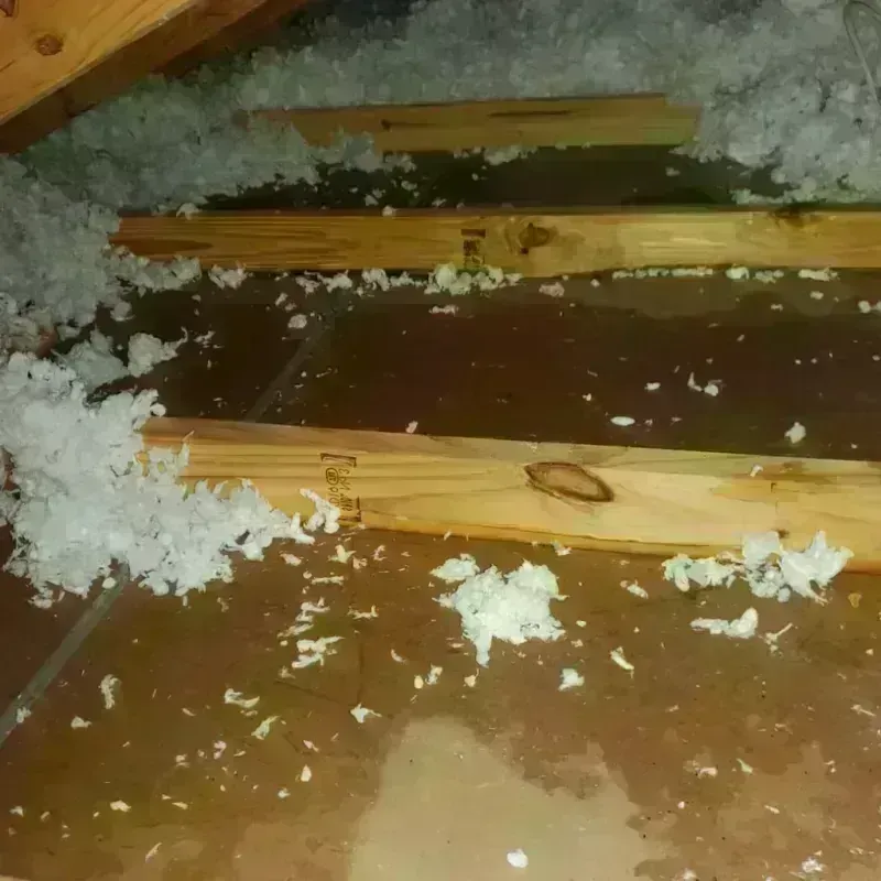 Attic Water Damage in Deer Park, WA